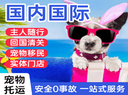 东营胜利空运地址国际宠物托运 【国
